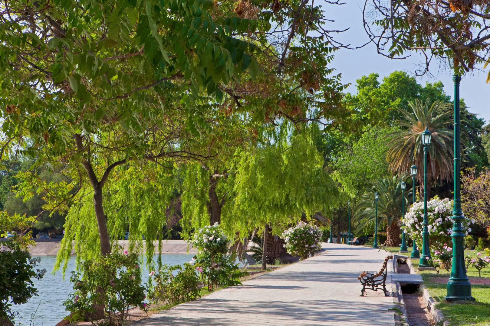 Foto - Sheraton Mendoza Hotel