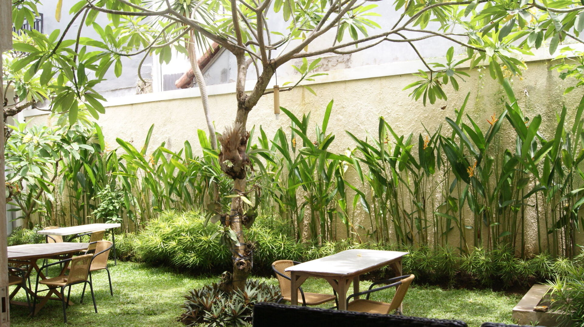 Photo - Sugiras Living