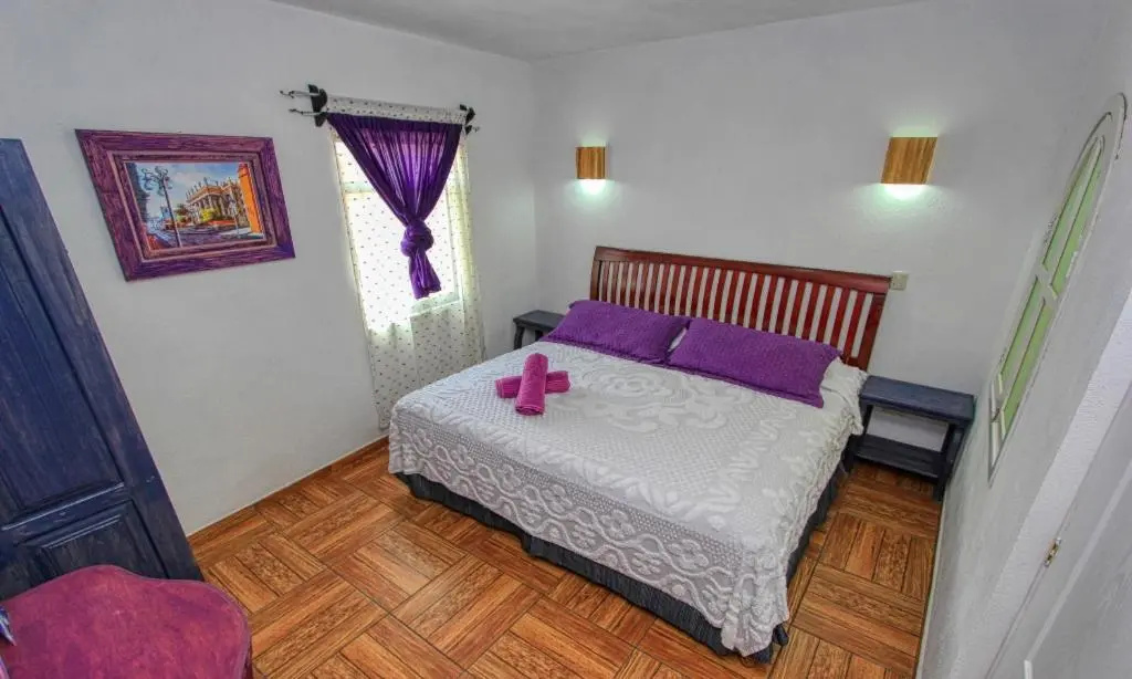 Foto - Maggic Home Panoramica