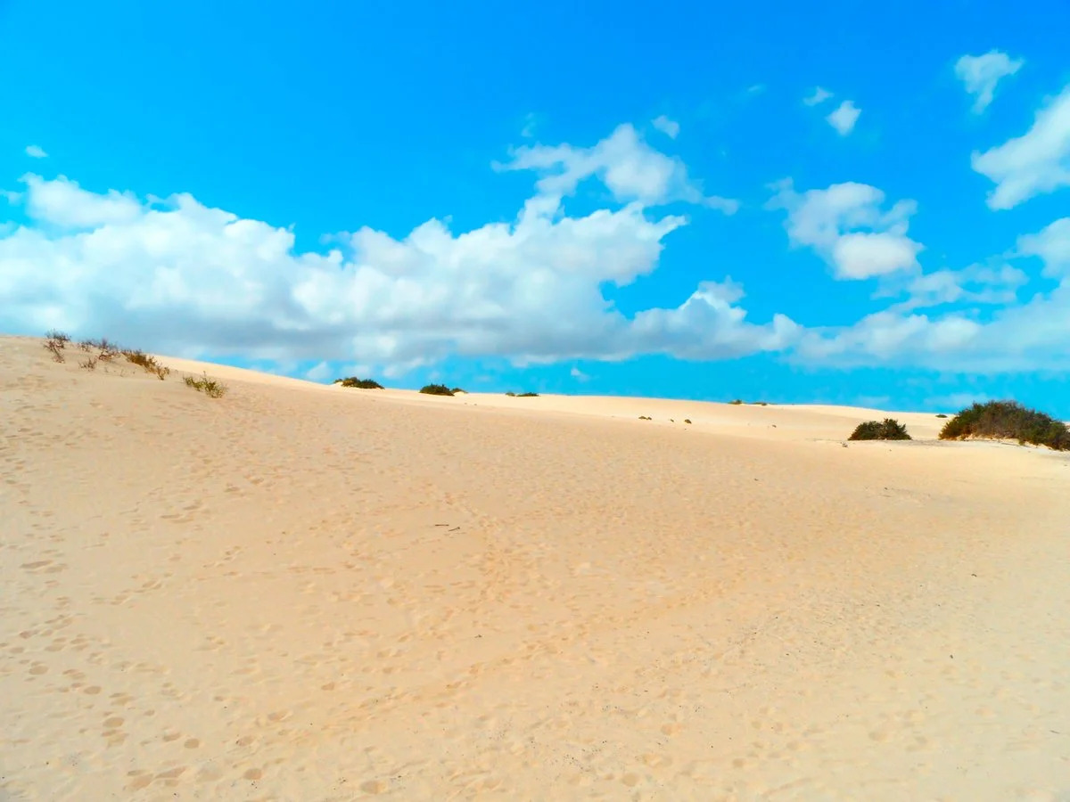 Foto - Apartamentos Maxorata Beach