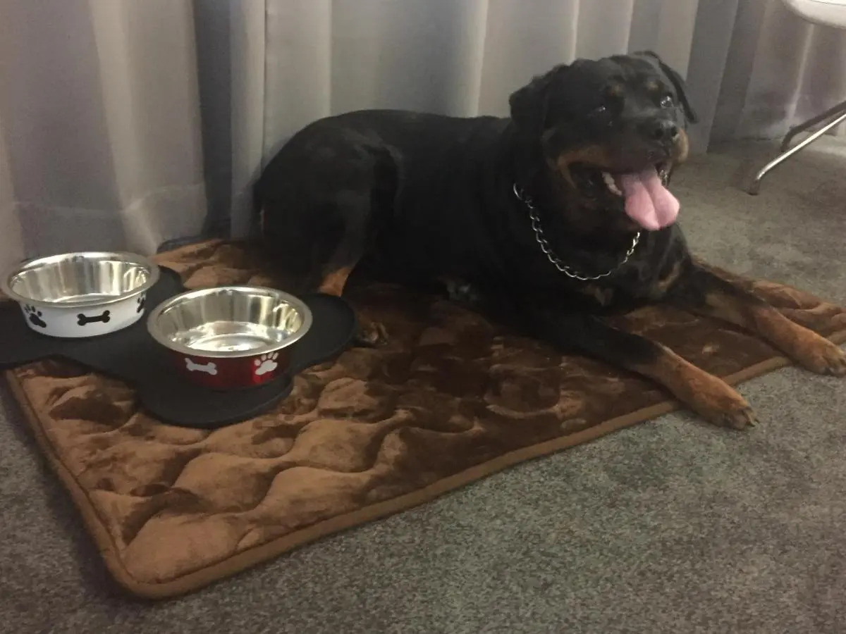 Photo - Hôtel Saphir Lyon