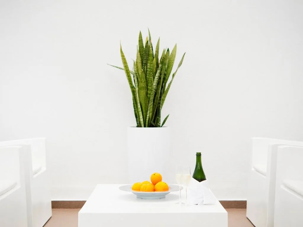 Photo - Ibiza Sun Apartments