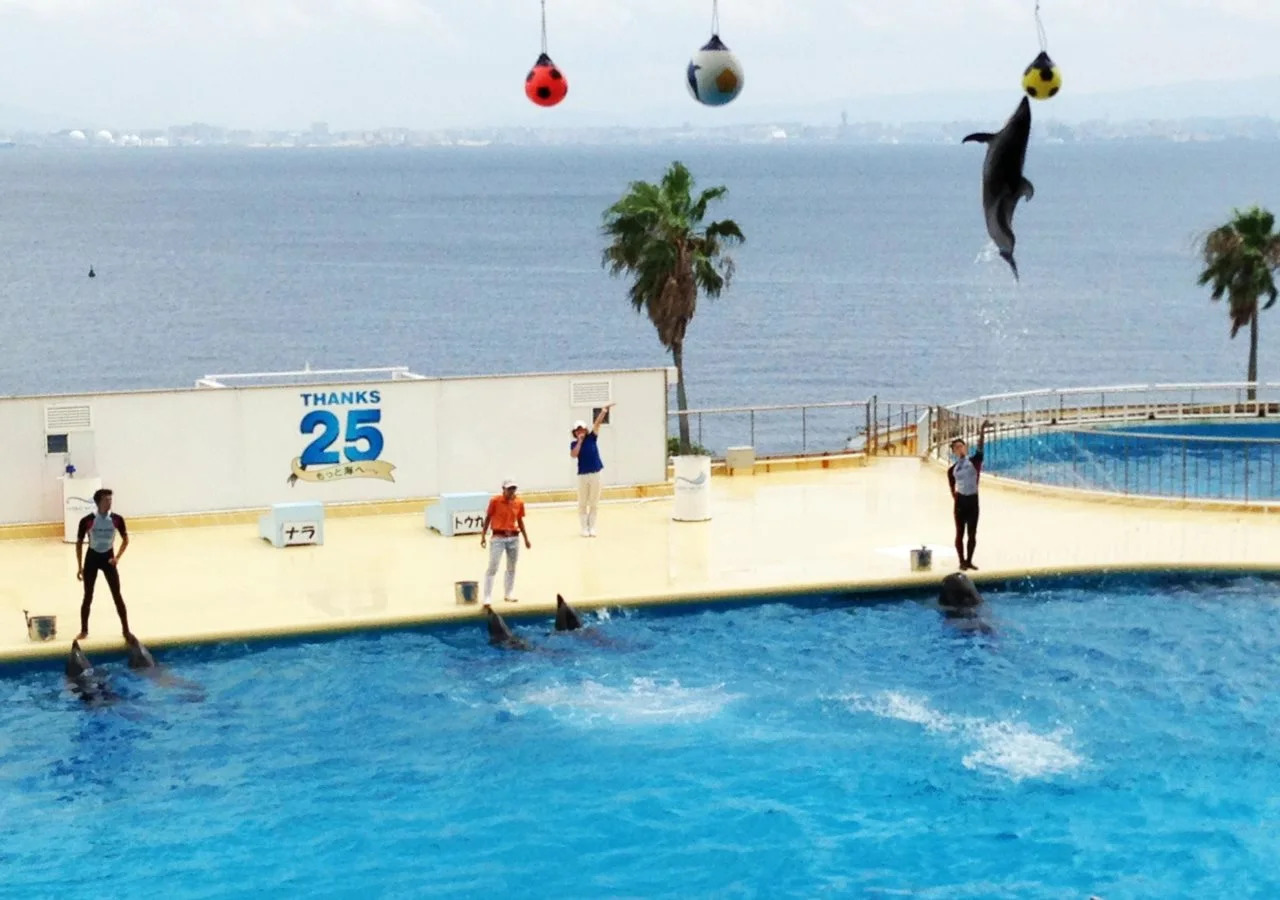 Foto - Hakata Green Hotel Annex