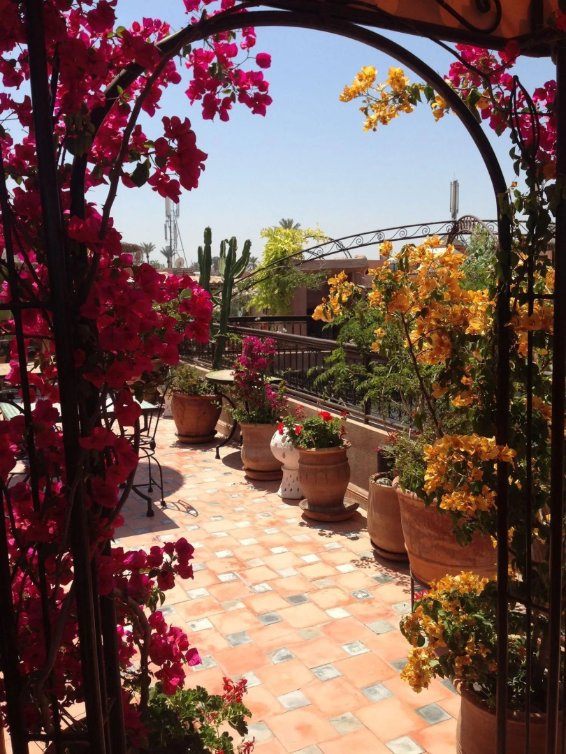 Foto - Riad Mehdia