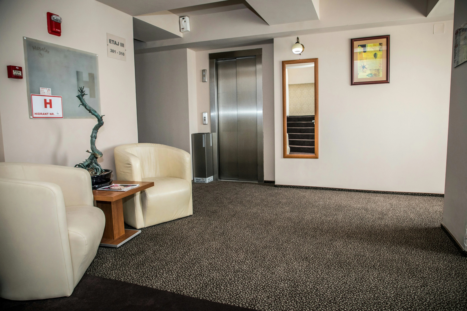 Foto - Hotel Megalos