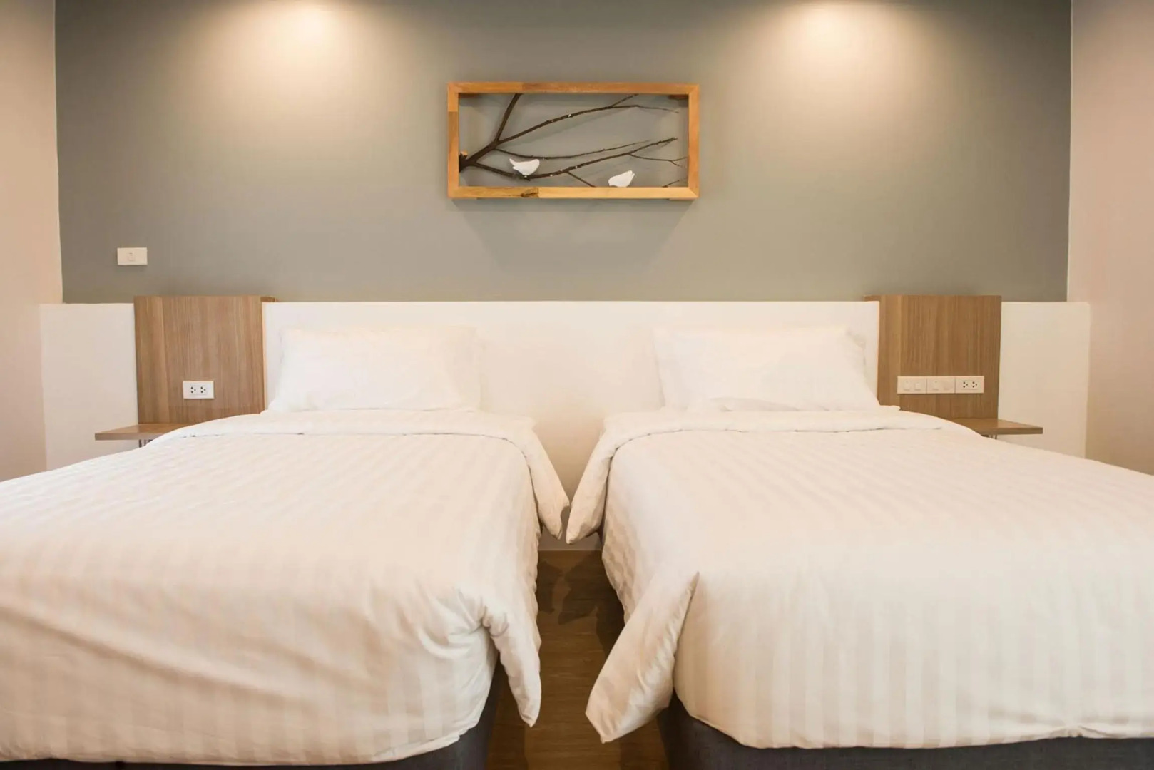 Photo - Shade House - Bitec Bangna