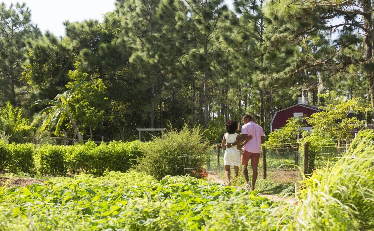 Foto - The Ritz-Carlton Orlando, Grande Lakes
