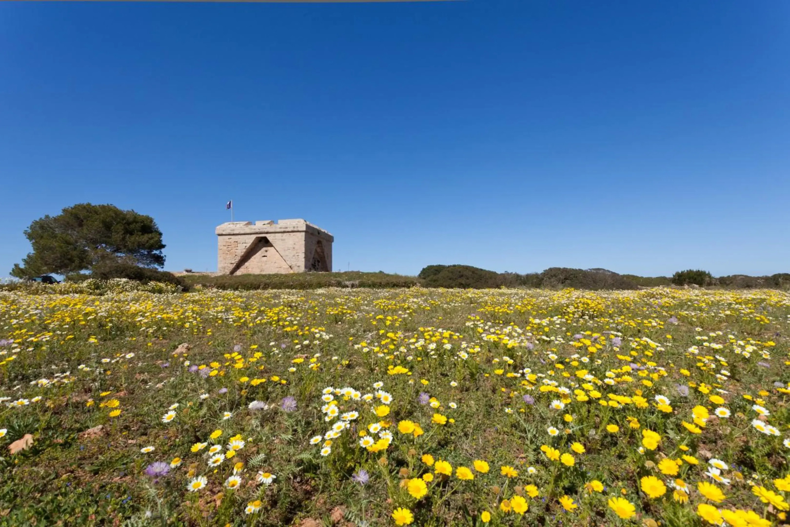 Foto - Hotel Brisa Marina