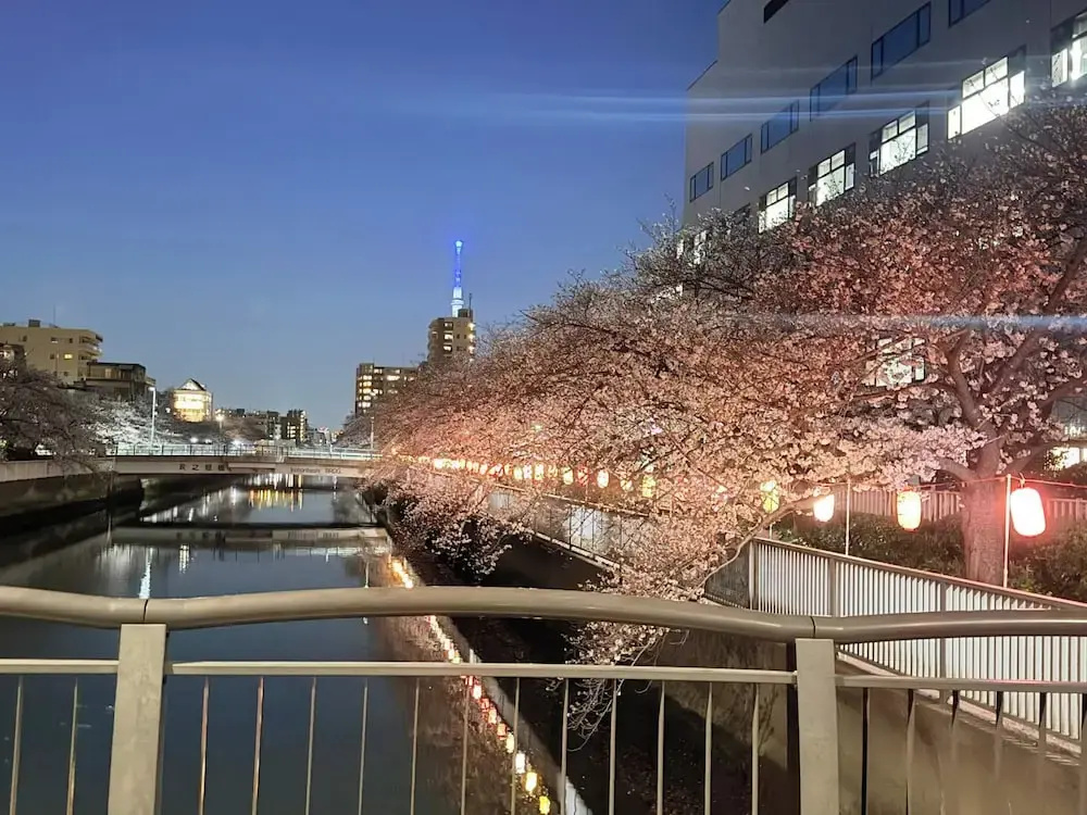Foto - Nakakasai Kodate