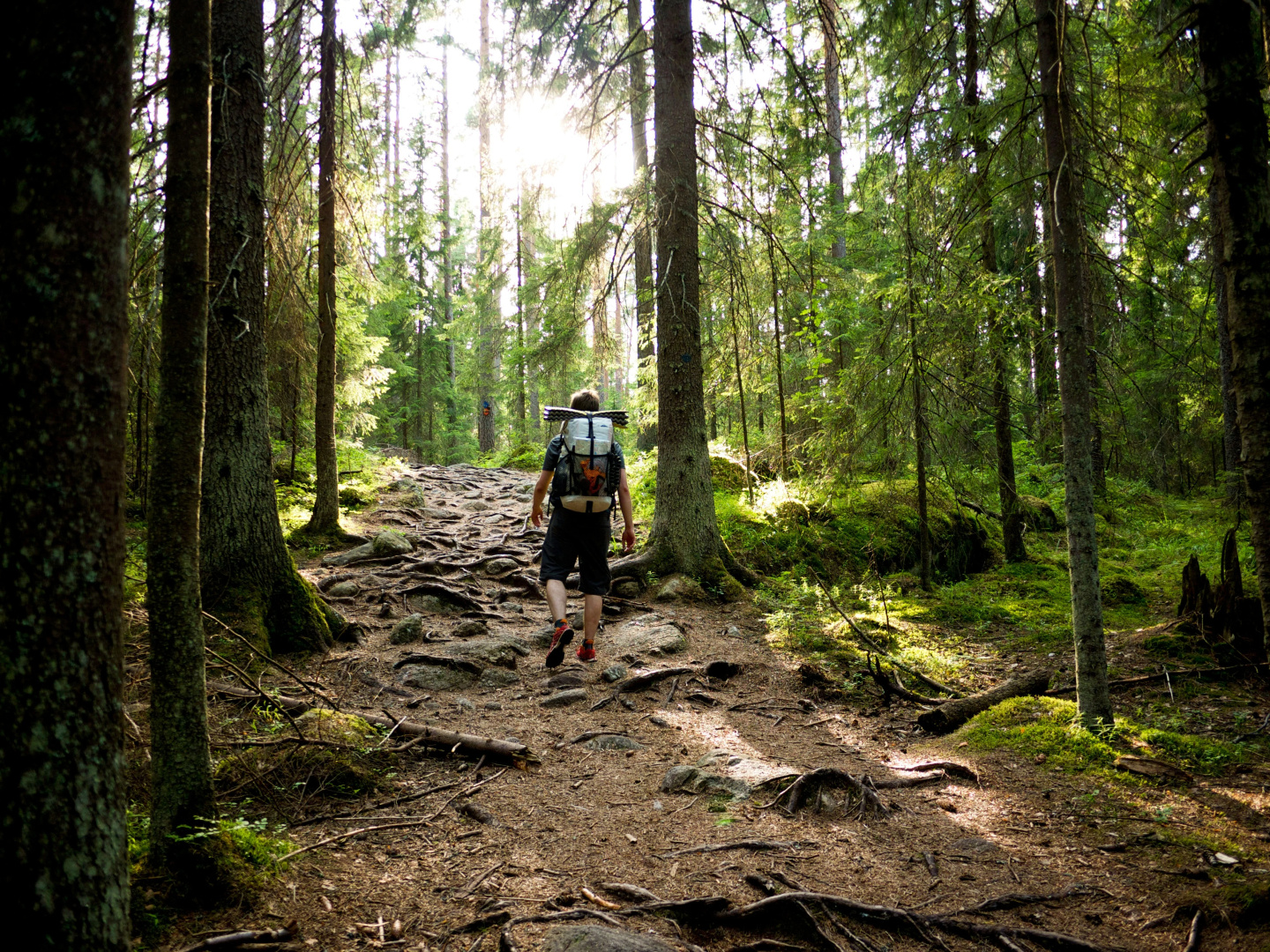 Photo - Hotel Nuuksio - Conferences and events