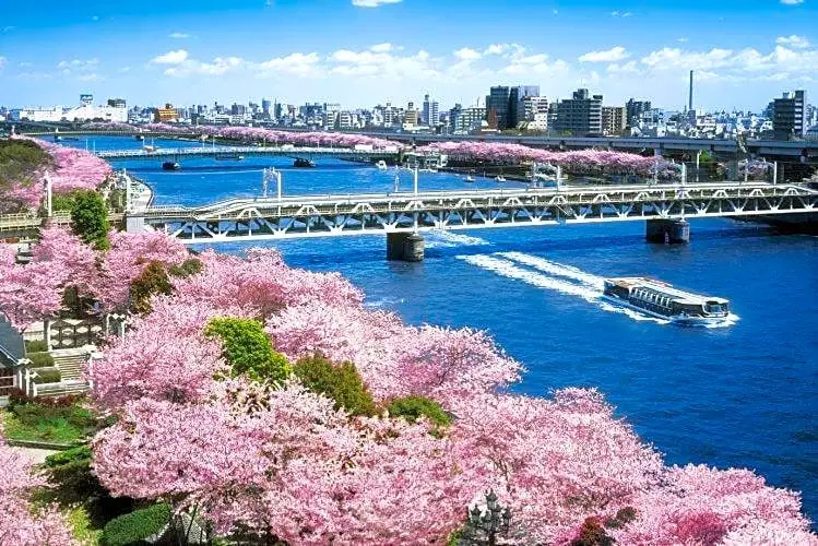 Photo - Asakusa HomeSuites Tokyo