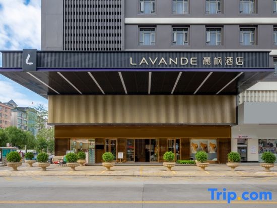 Lavande Hotel (Dongguan Wanjiang Middle School South China Mall)