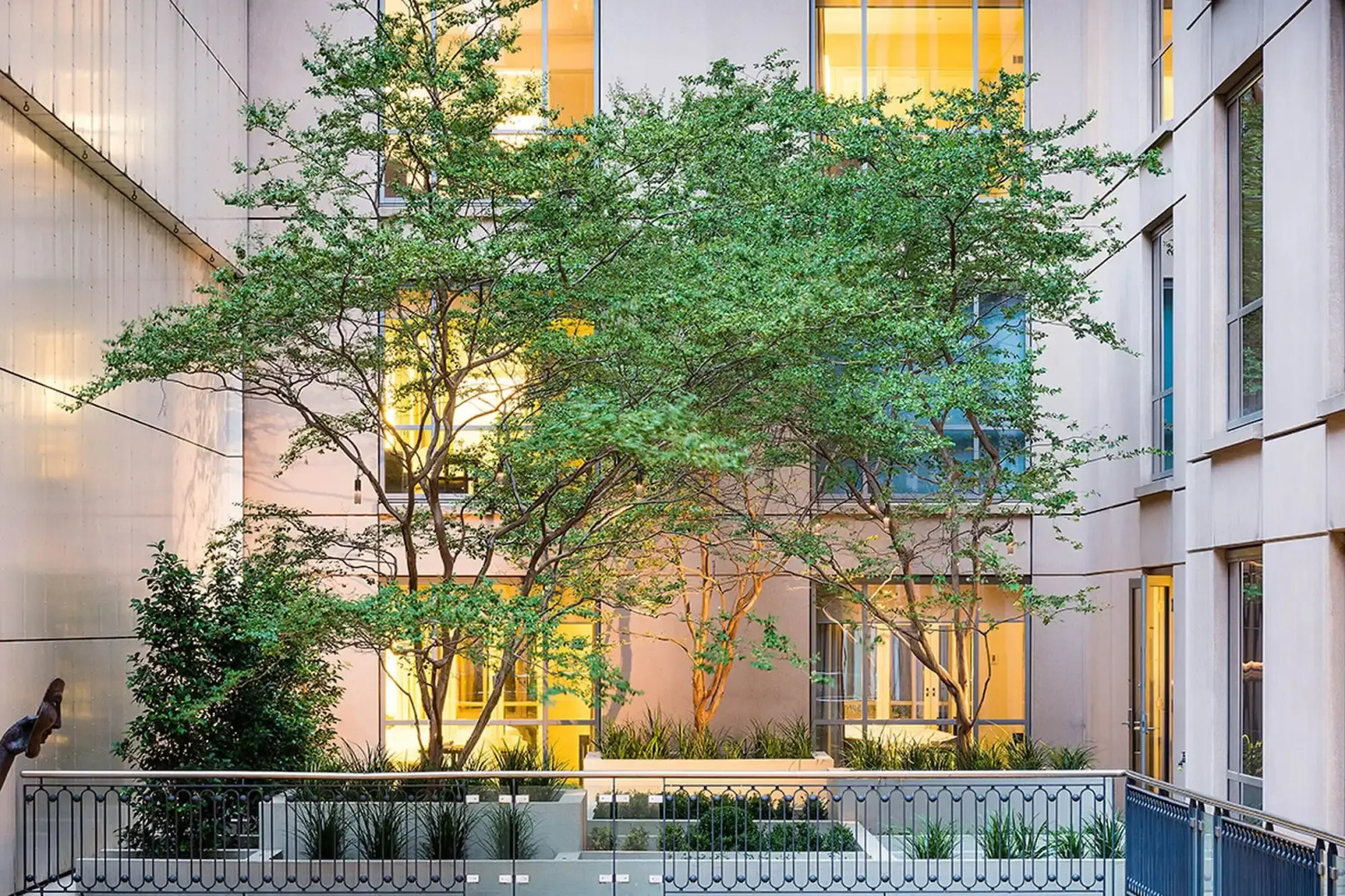 Foto - The Westin Melbourne