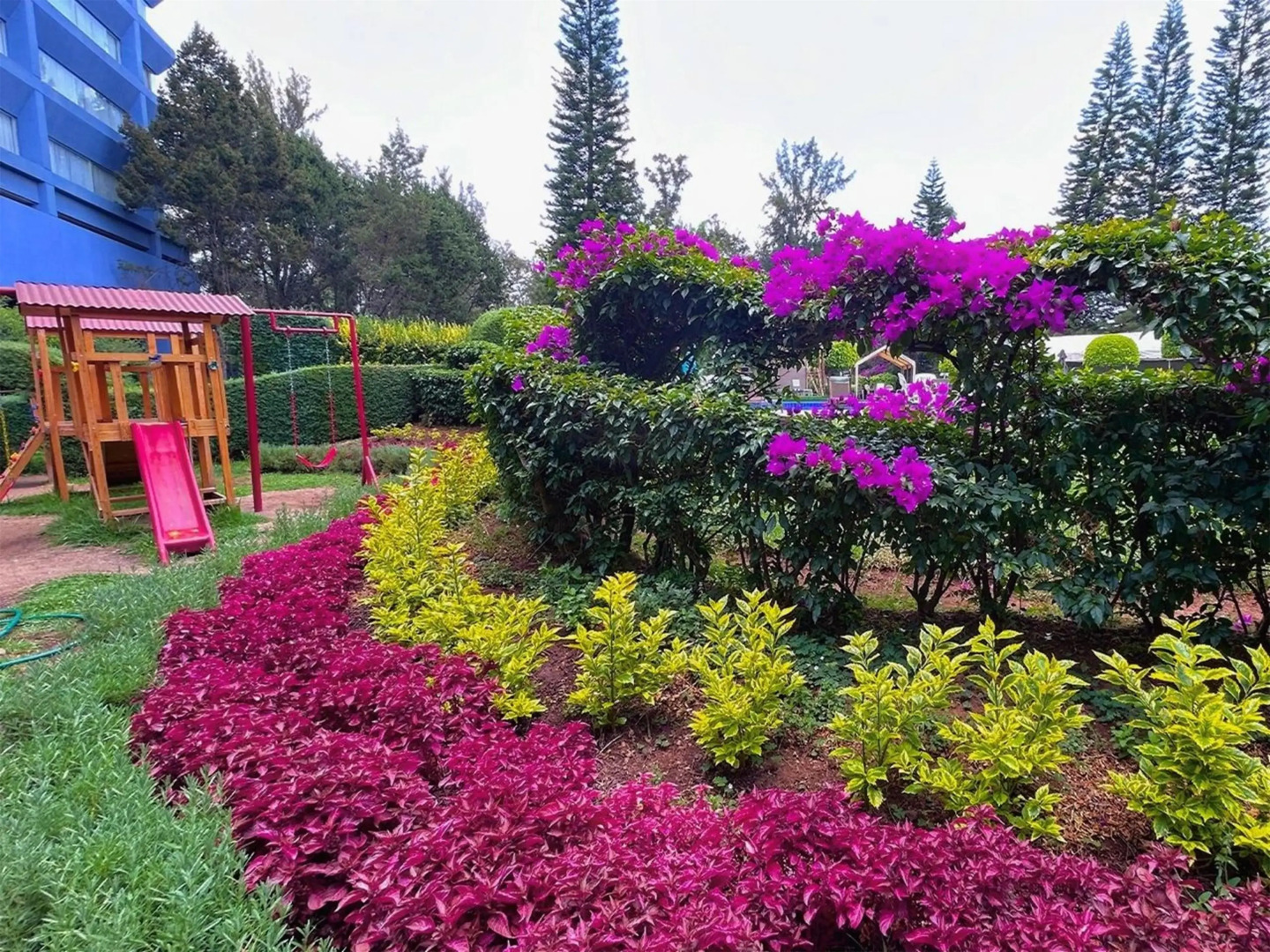 Foto - Grand Cantalagua Hotel Morelia, BW Signature Collection