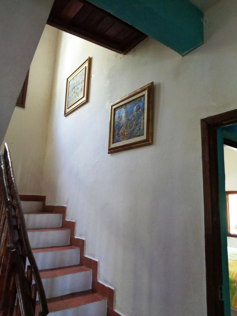 Foto - Marbella Eco Lodge