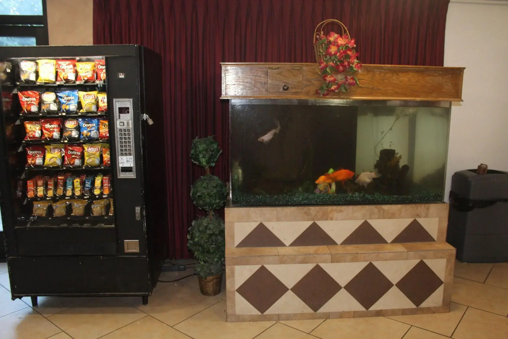 Foto - Shalimar Hotel of Las Vegas