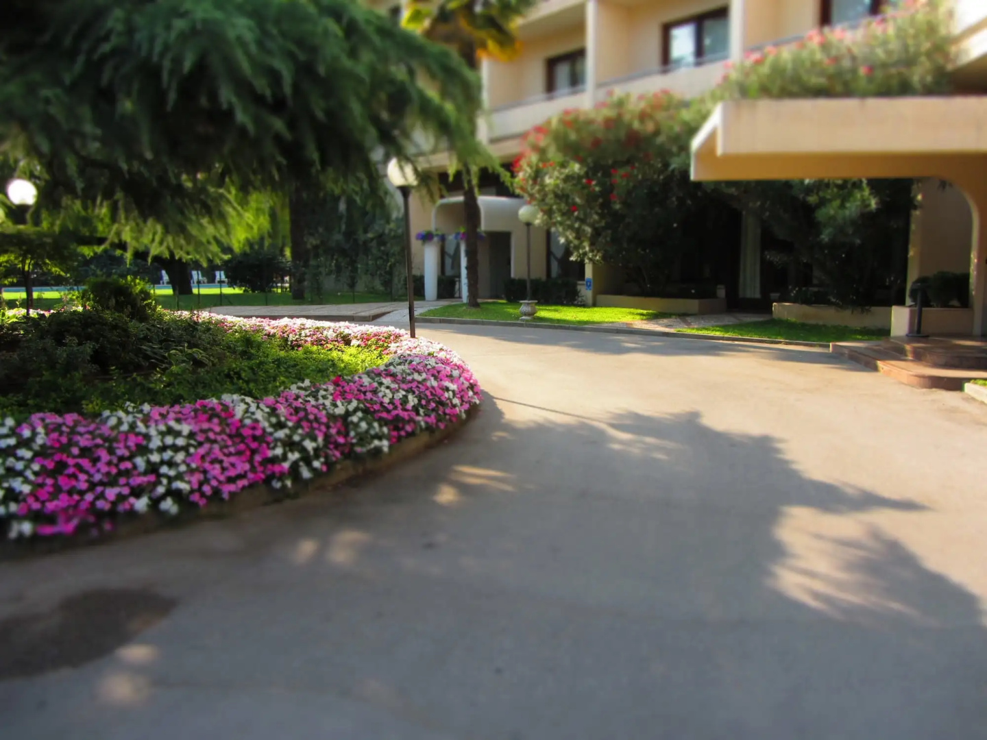 Photo - Blue Dream Hotel