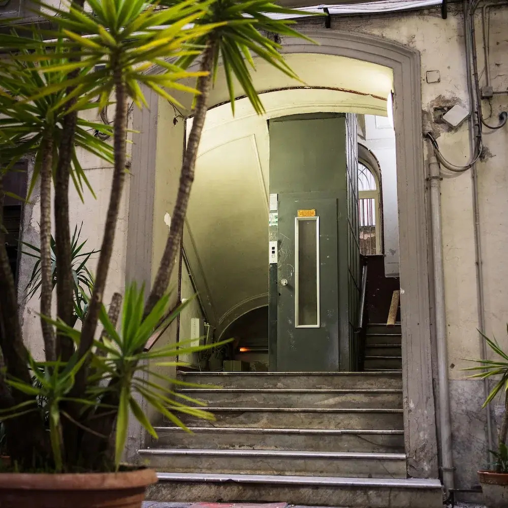 Foto - I Leoni di Rosaroll