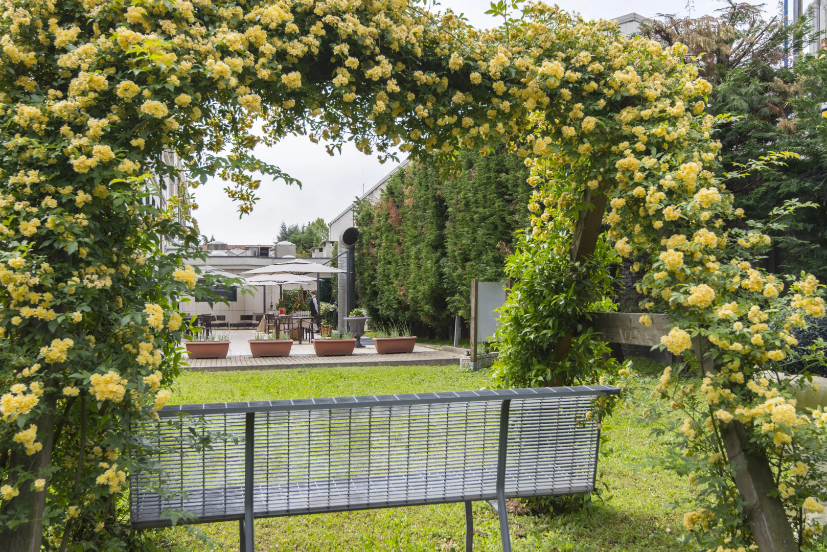 Photo - Hotel Parisi