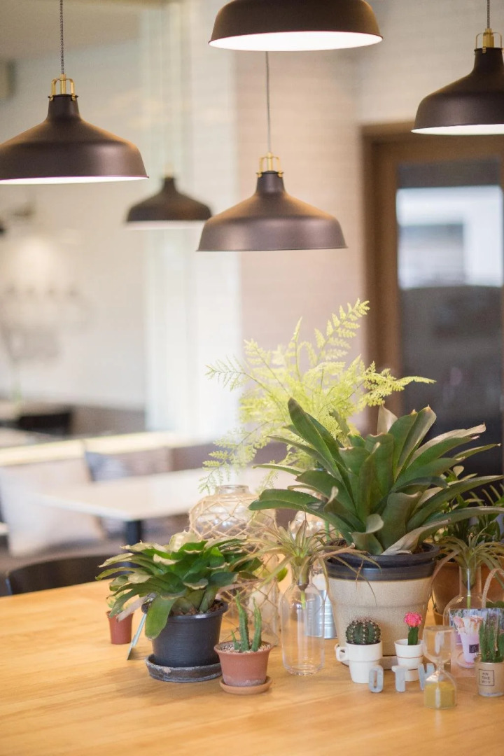 Foto - The Journey Hotel Laksi