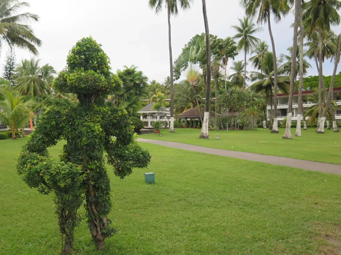 Foto - Waterfront Insular Hotel Davao