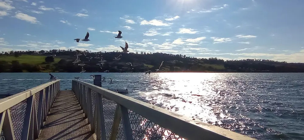 Photo - Rosevears Riverview Hotel