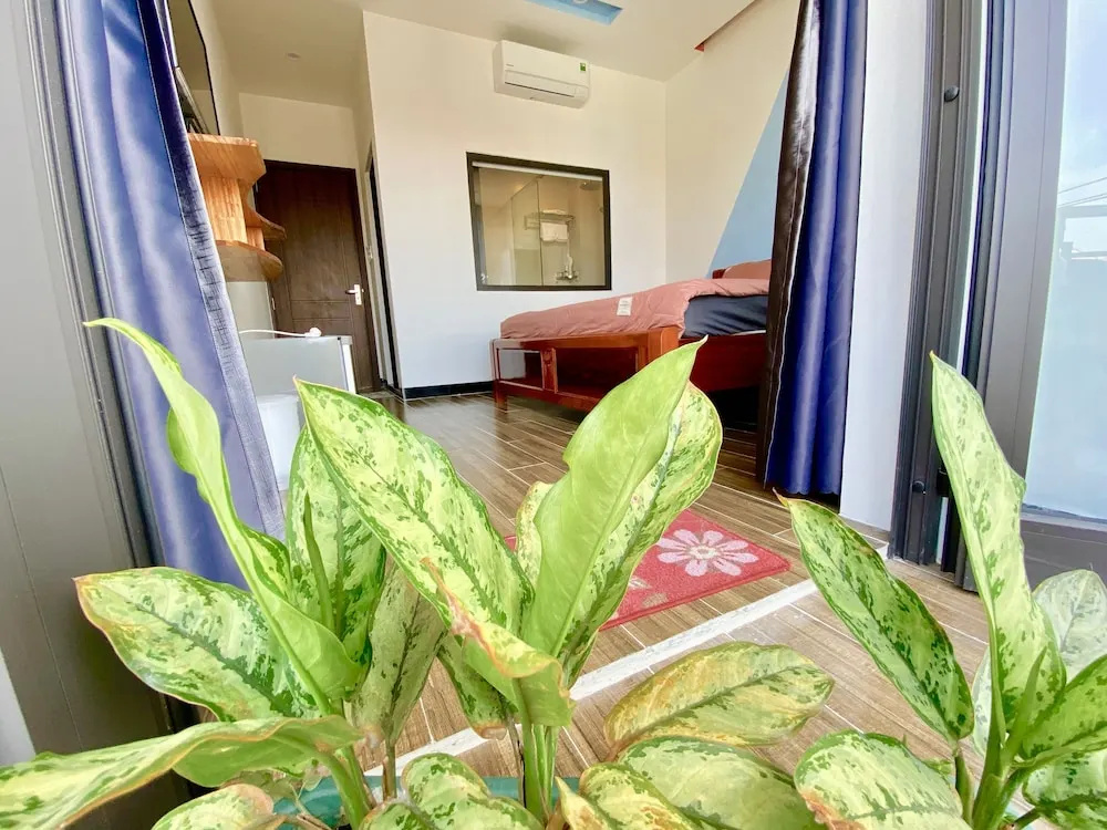 Photo - Little Boss Homestay
