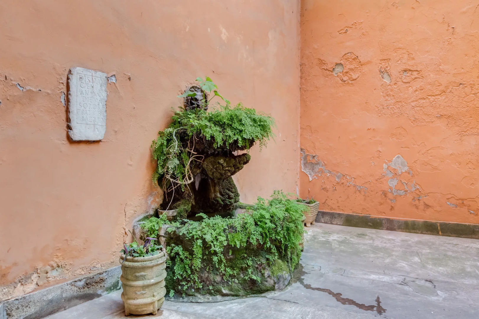 Foto - Maison Degli Artisti Suites