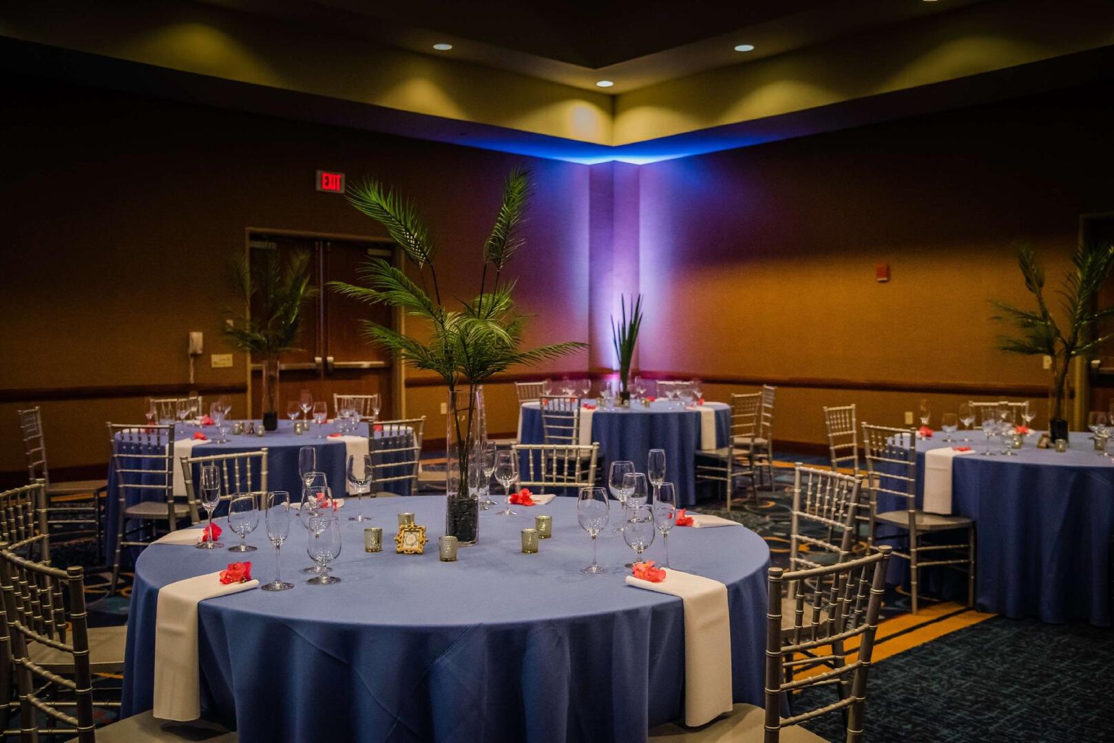 Foto - Hilton St. Petersburg Carillon Park