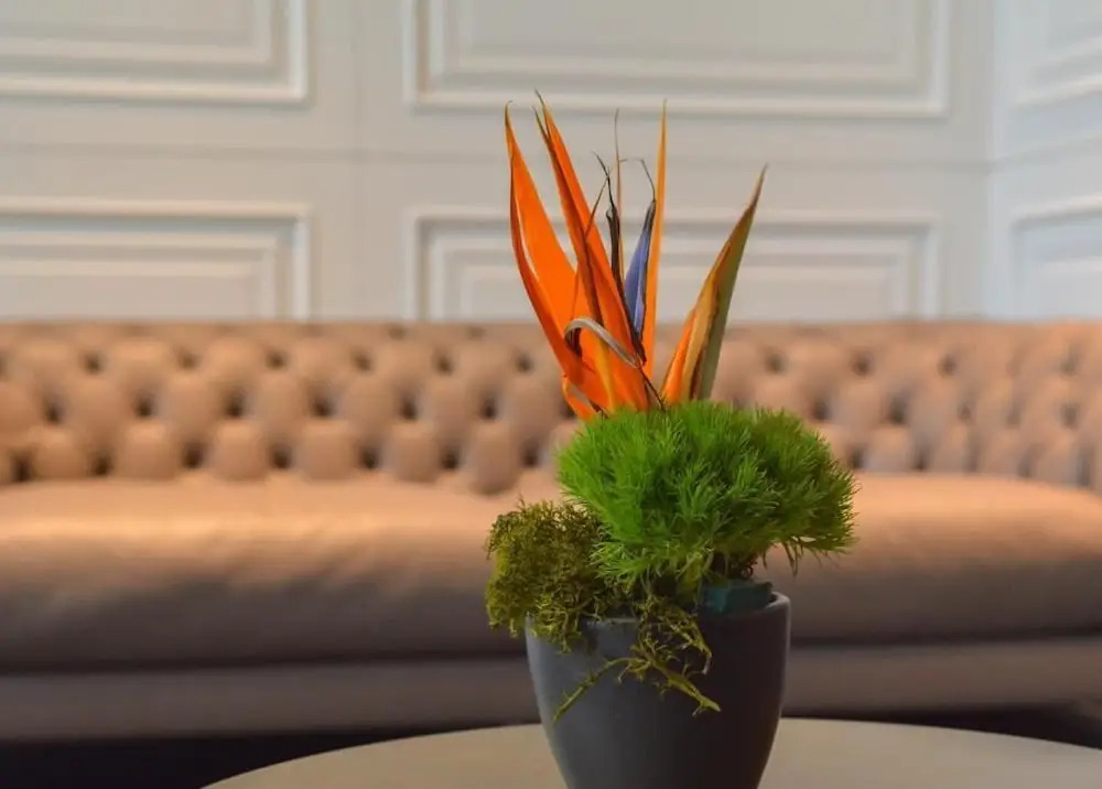 Foto - VIZUALIZA Residence Hotel by HMG