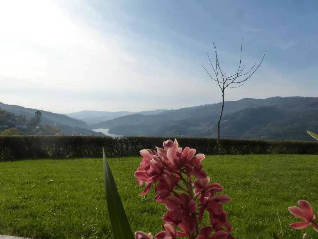 Photo - Quinta do Bento