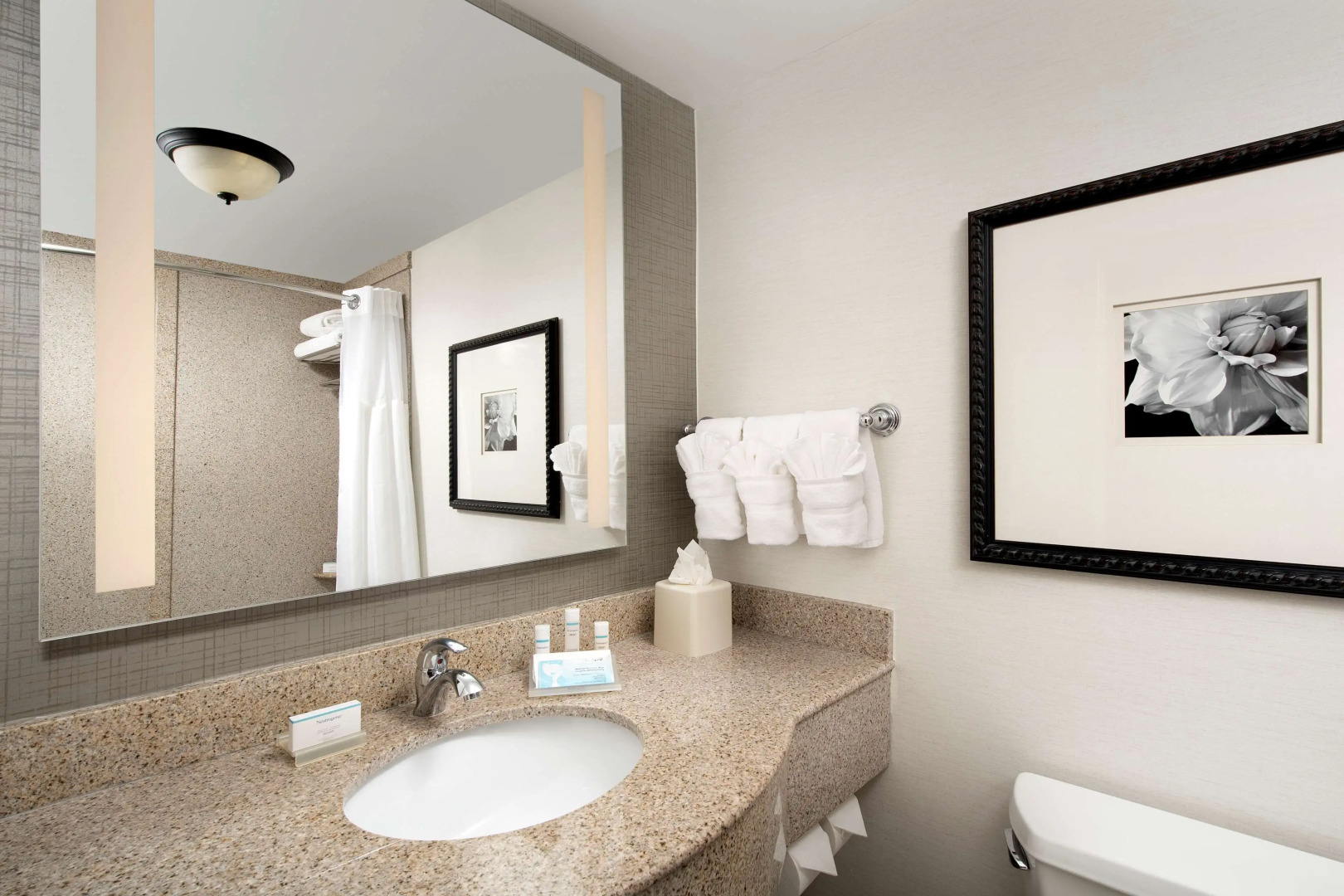 Photo - Hilton Garden Inn Atlanta West/Lithia Springs