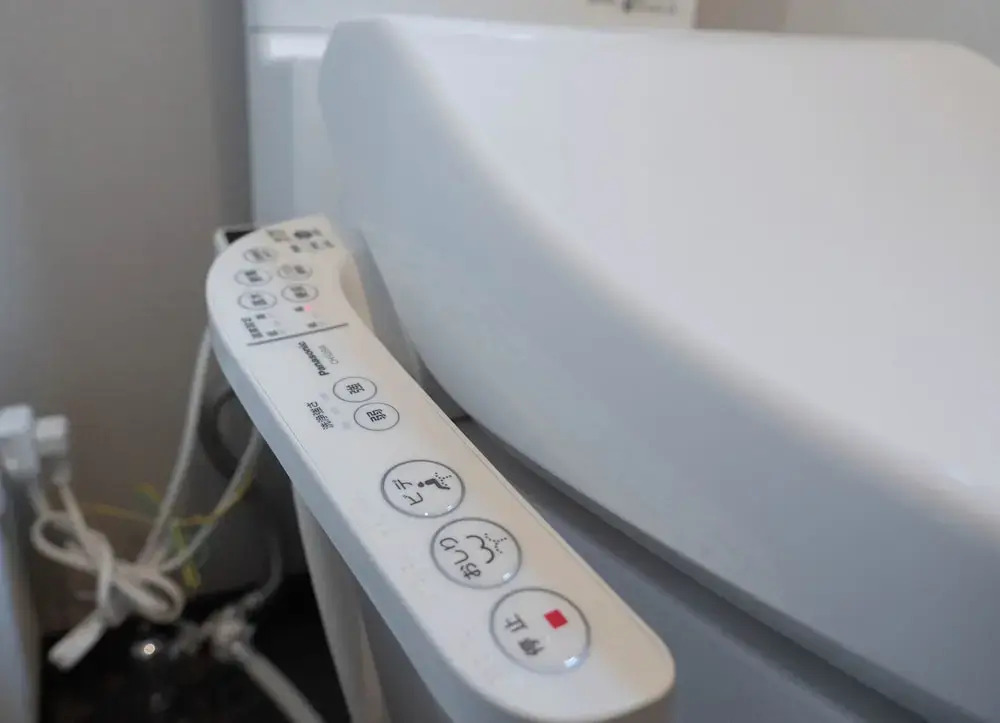 Foto - Hanastay Syakuhachi