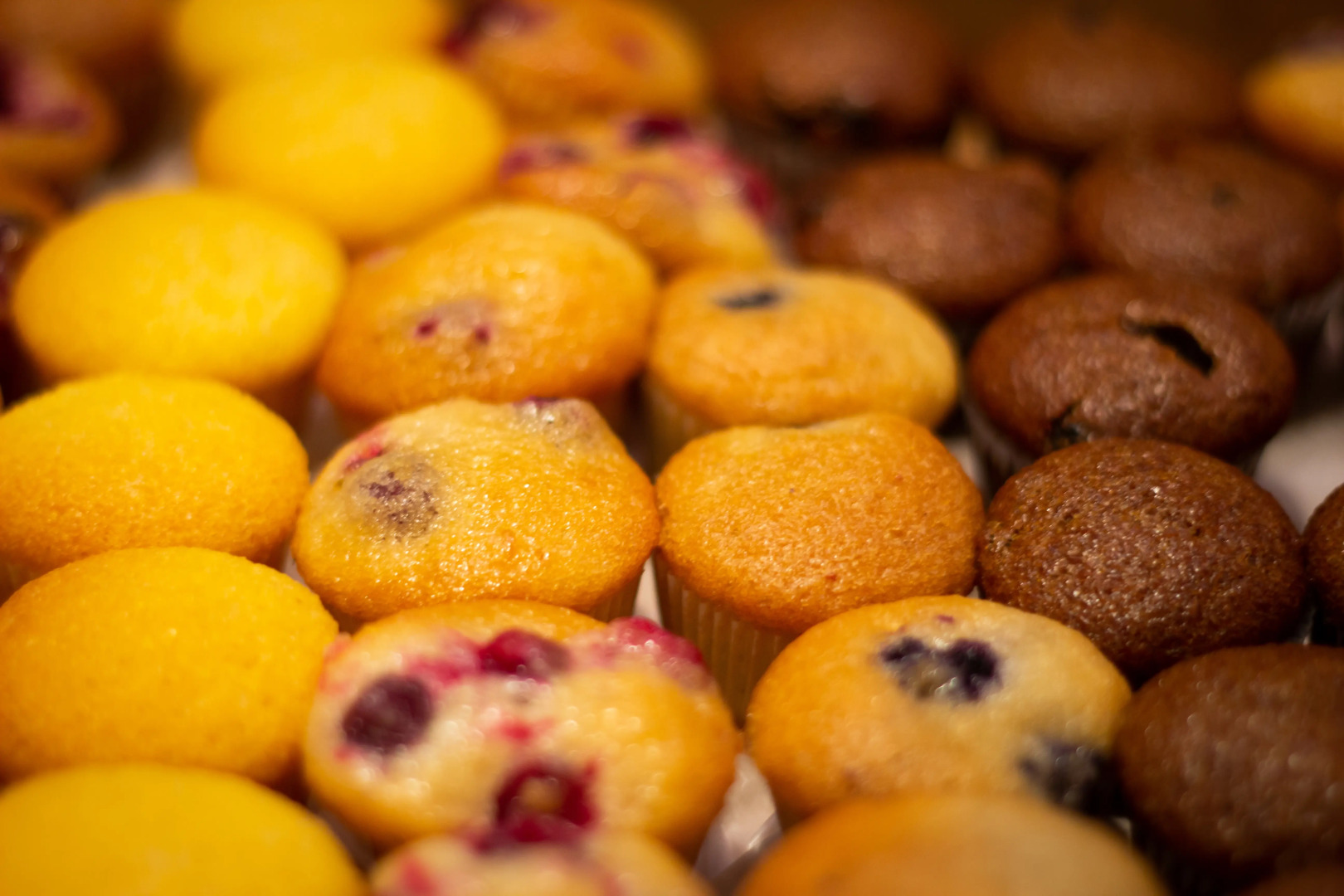 Photo - Nine20 Collins Apartments by Lowkl