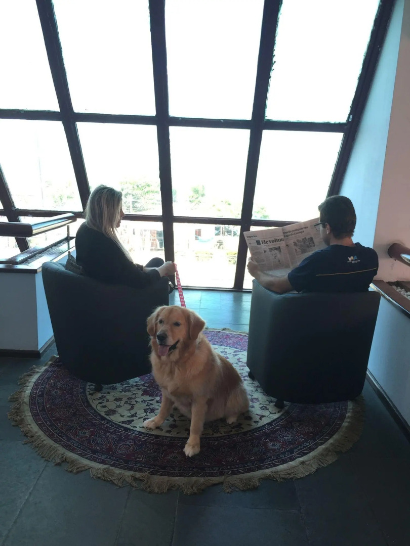 Foto - Hotel Enseada de Ponta Negra