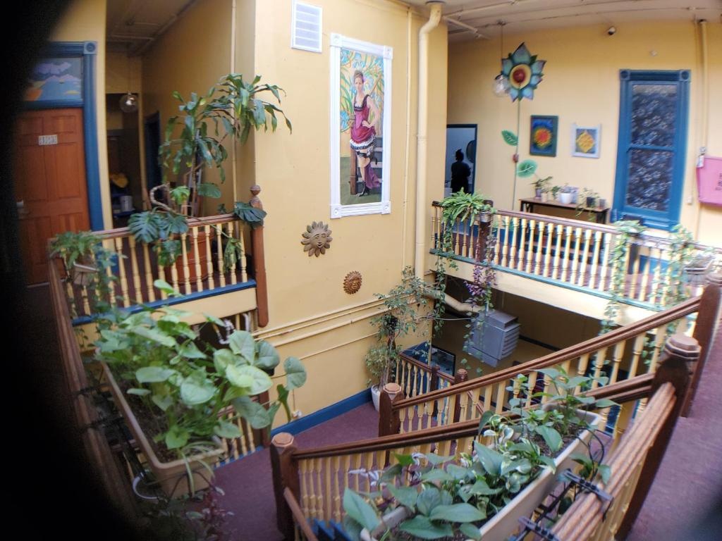 Photo - Gaslamp Hostel