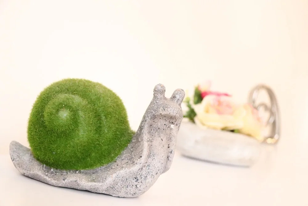 Foto - Flowers apartments