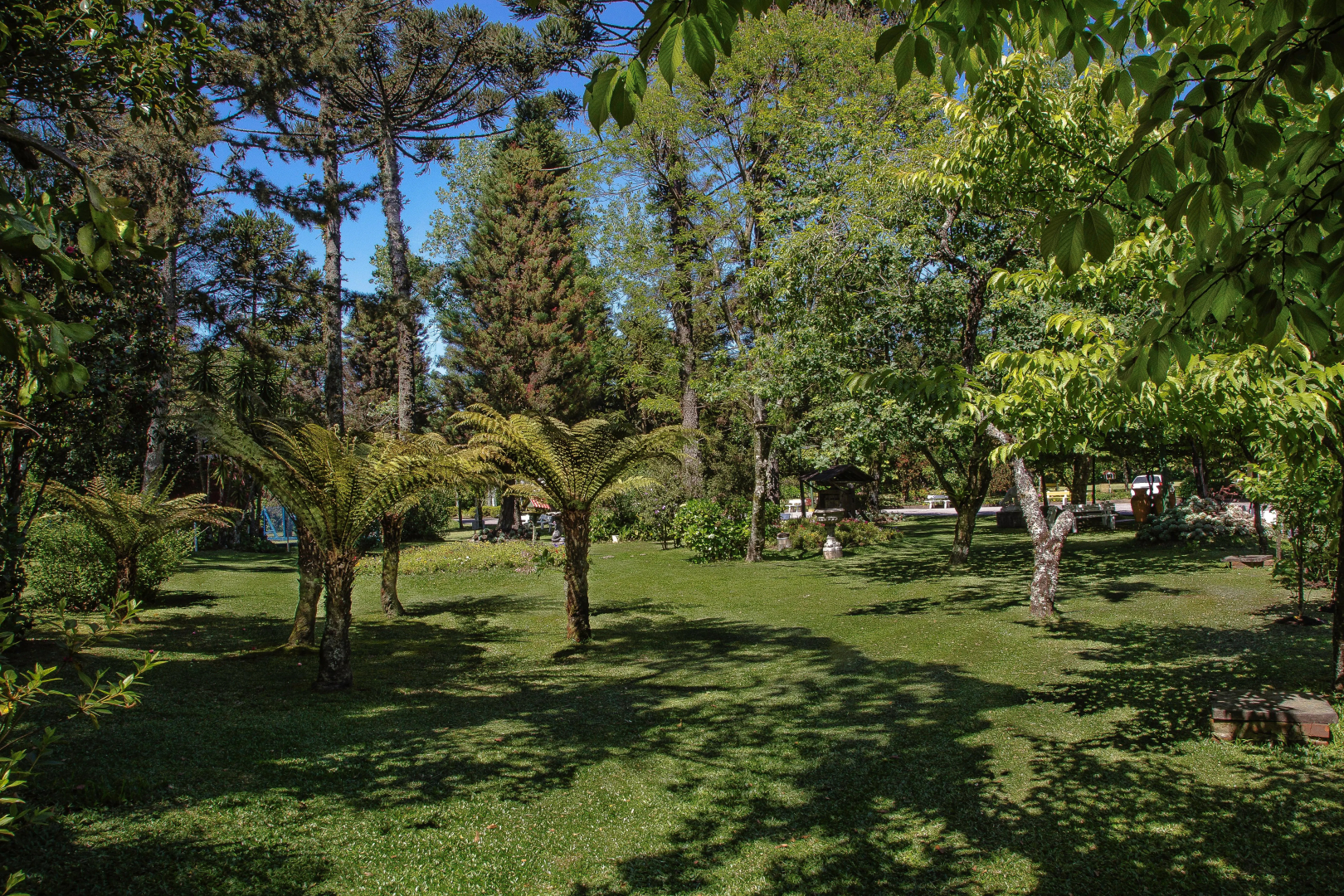Foto - Hotel Gramado Palace