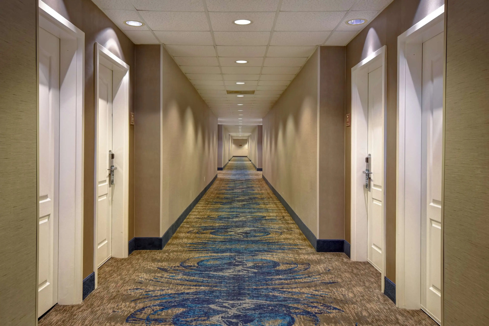 Foto - Homewood Suites By Hilton HOU Intercontinental Airport