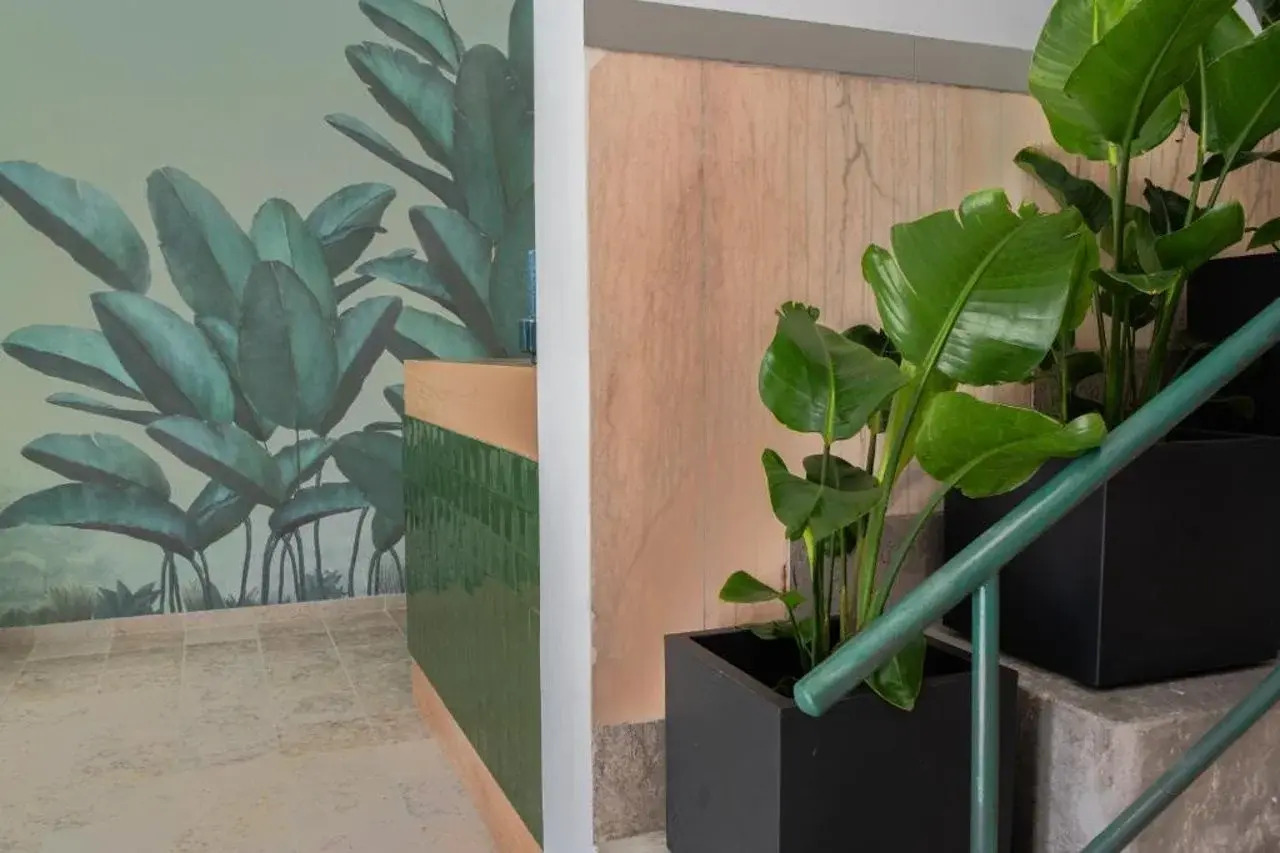 Foto - Succeed Campo Pequeno Suites