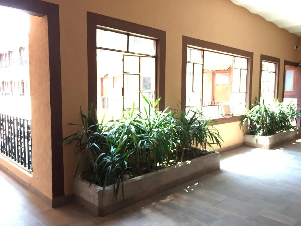 Foto - Hotel San Agustin