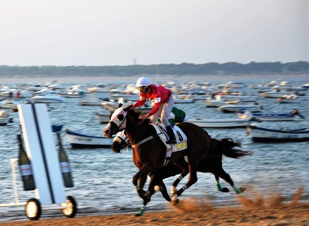 Foto - Albariza Hotel Boutique