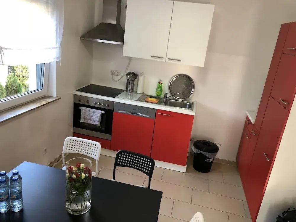 Photo - Sahara Falcon