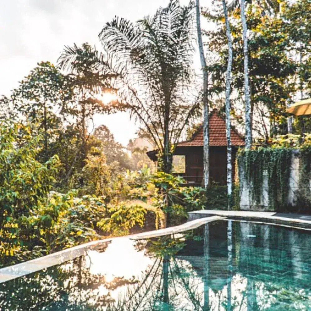 Photo - The Jungle Villa