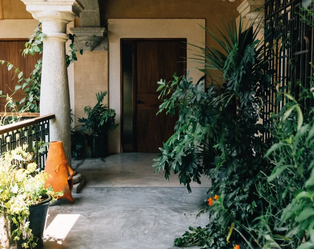 Photo - Casa Antonieta