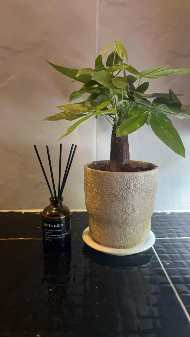 Foto - The PARK Society