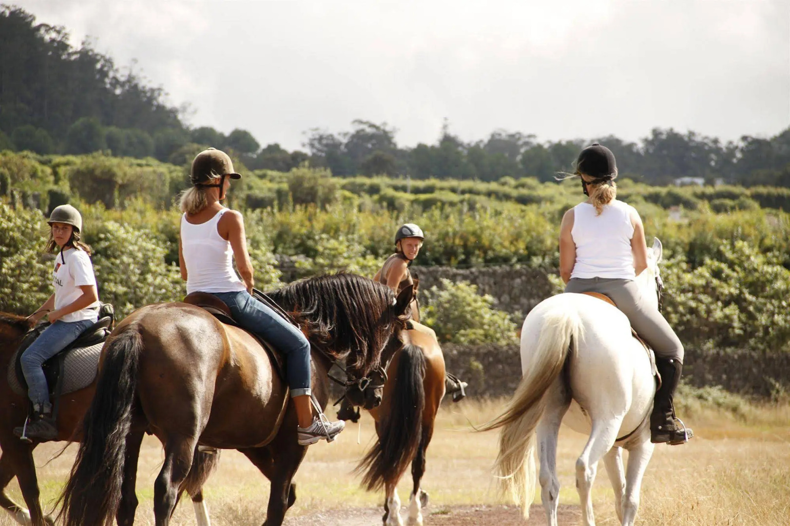 Photo - Pico do Refúgio - Casas de Campo