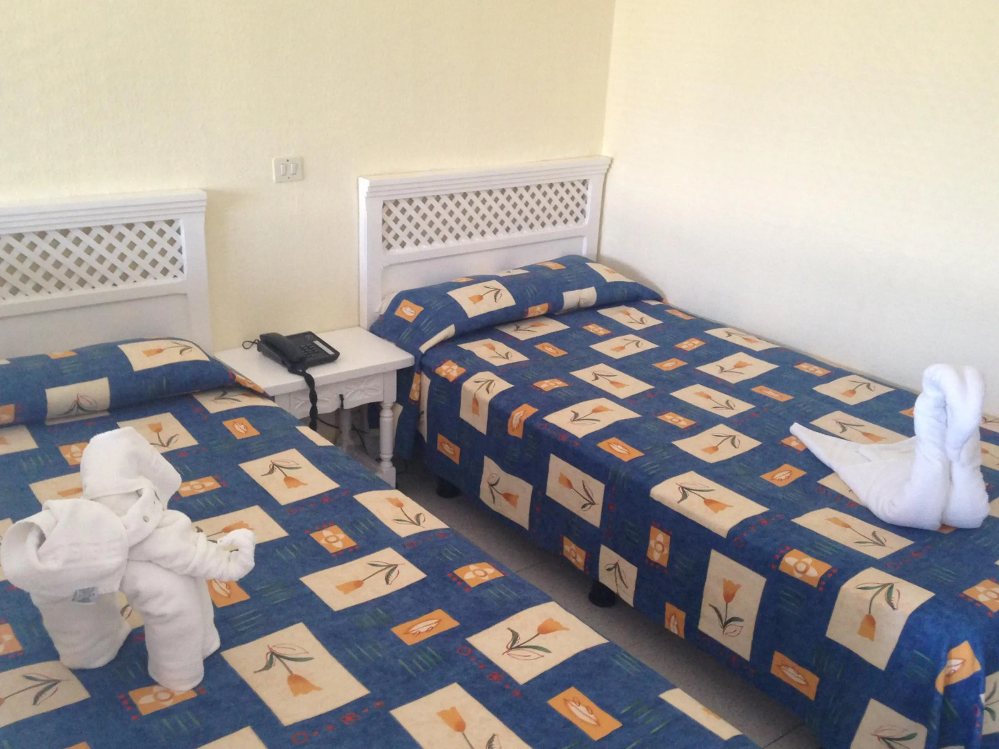 Foto - Apartamentos Pez Azul