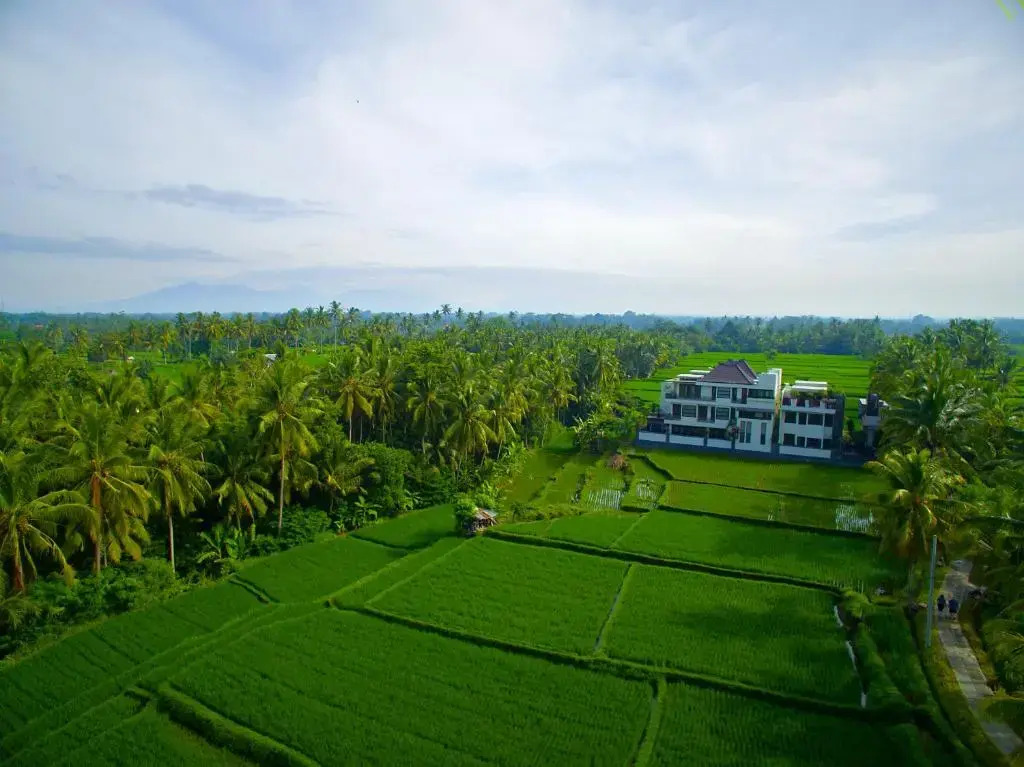 Photo - The LUXE Ubud - a Boutique Hotel
