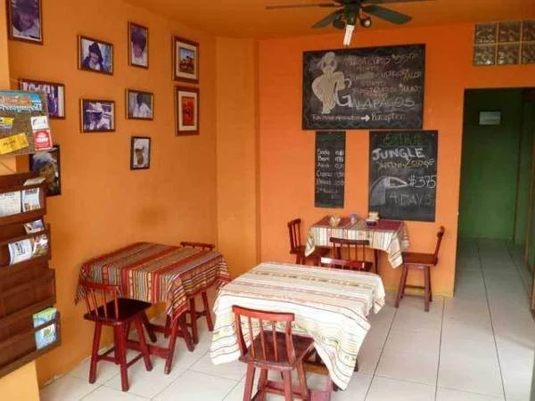 Foto - Dreamkapture Hostel close to the airport and bus terminal